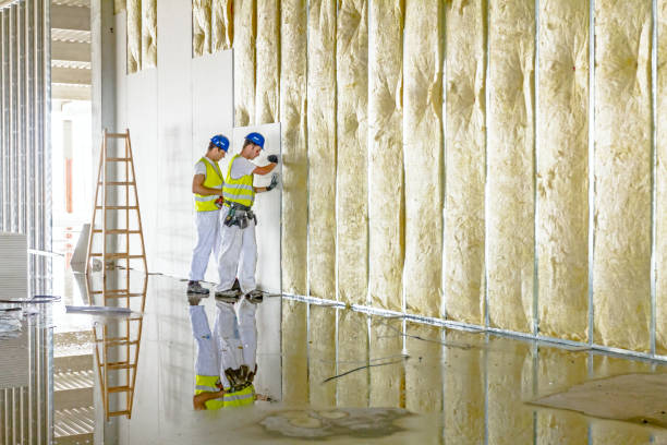Types of Insulation We Offer in Holbrook, NY